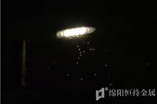 LED路灯导致植物减产？研究人员是这么解释的....