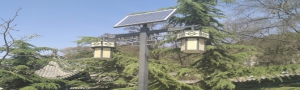 太阳能路灯