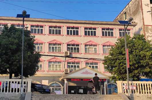 涪城区青义镇西科大道路亮化工程