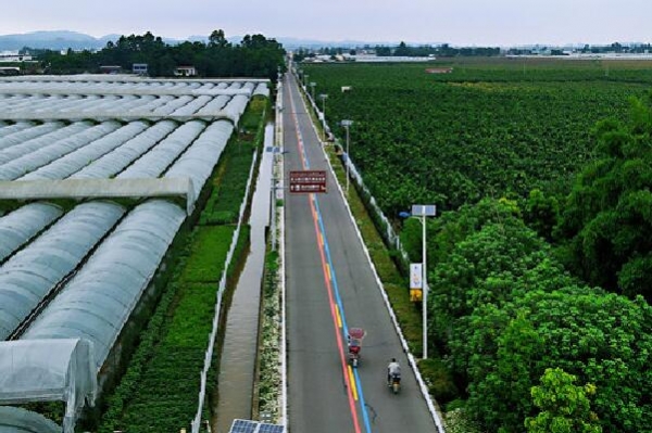 眉山市彭山区 太阳能路灯 照亮村民幸福路